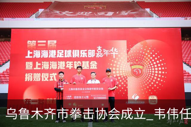 乌鲁木齐市拳击协会成立 韦伟任会长